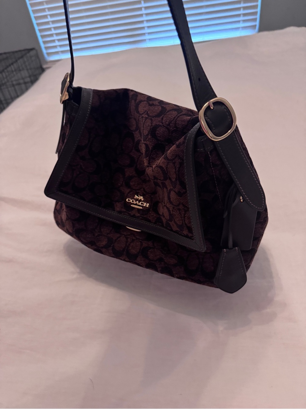 Rare Coach Large Etta Chenille Limited Drop - Picture 4 of 12